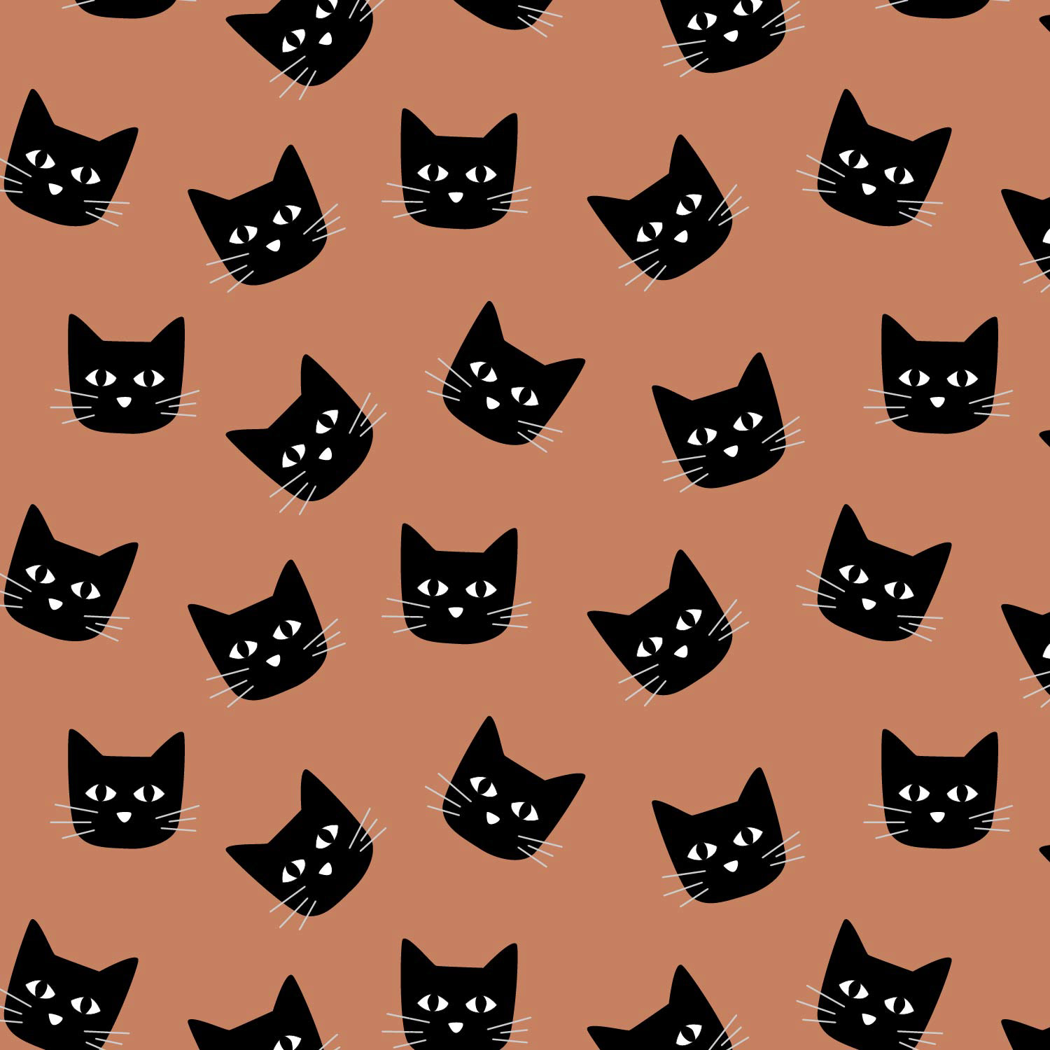 cat faces black tipped