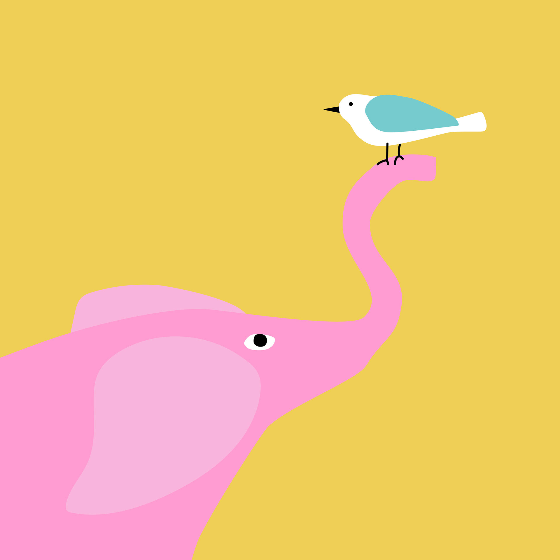 Pink Elephant