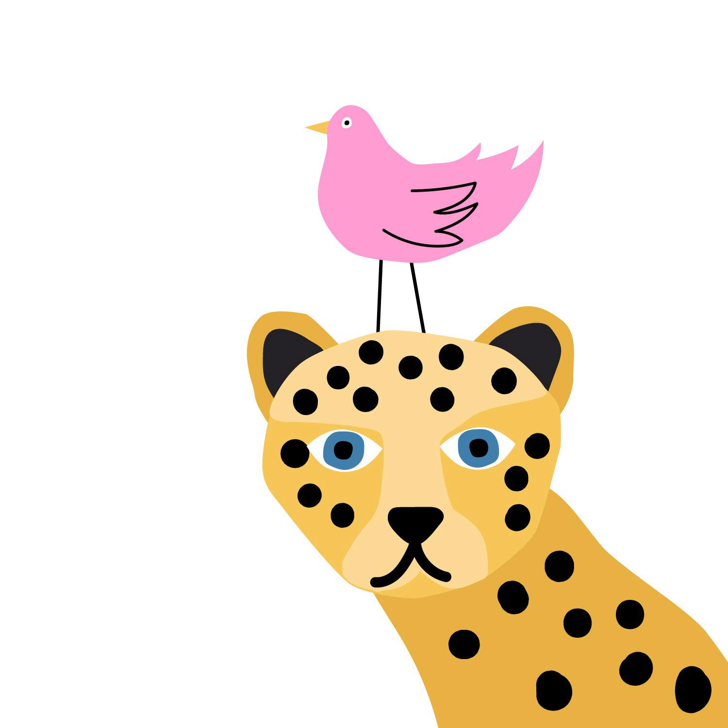 Leopard Face on White