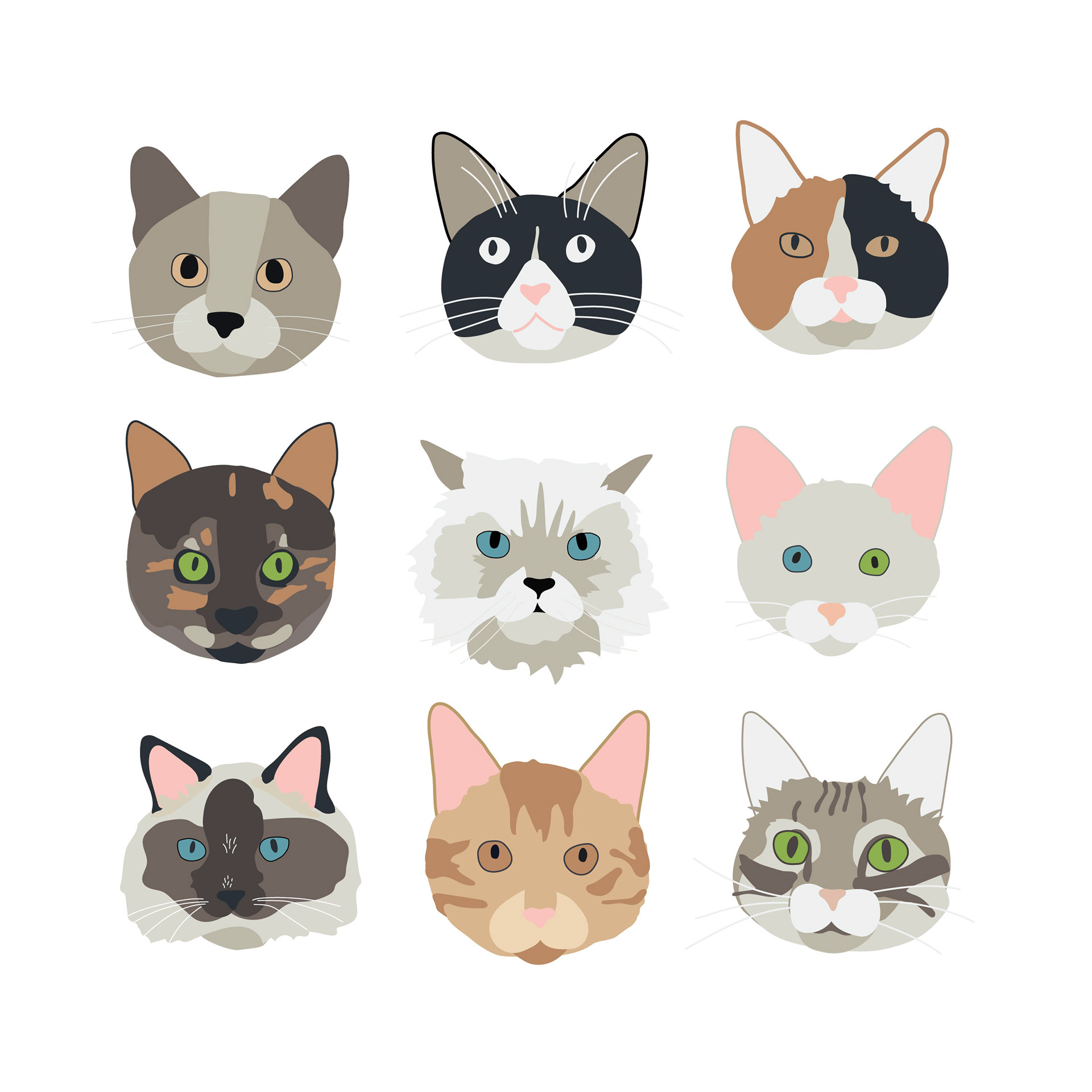 Cat Portraits