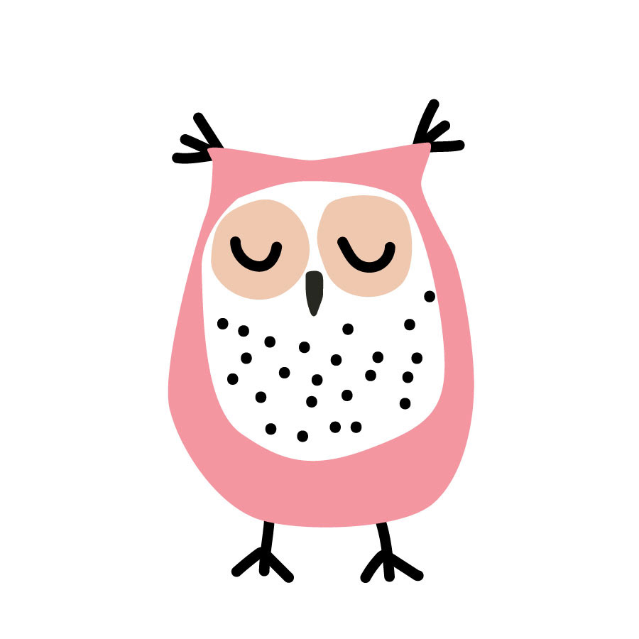 Owl 2