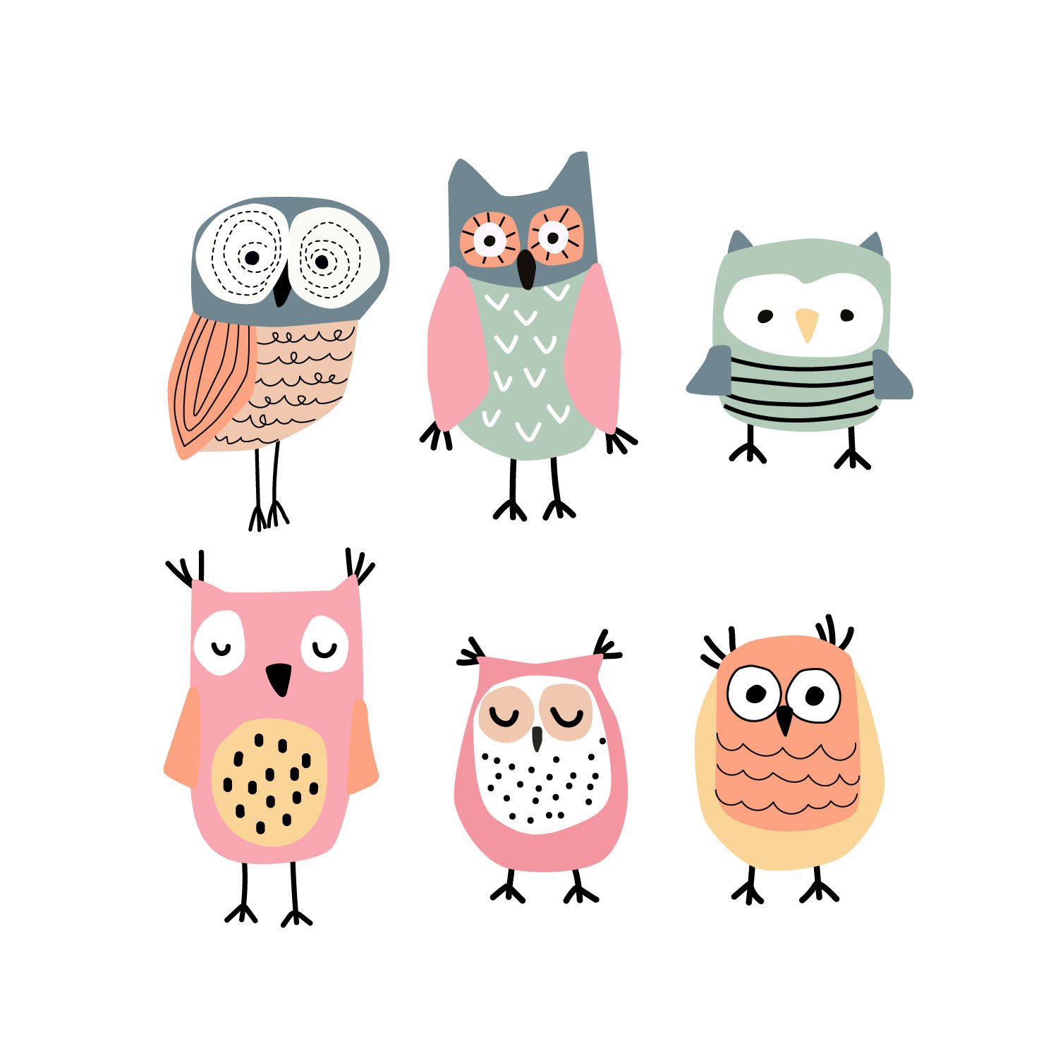 Owl Illustration
