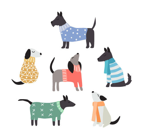 Dogs in Sweaters Bright