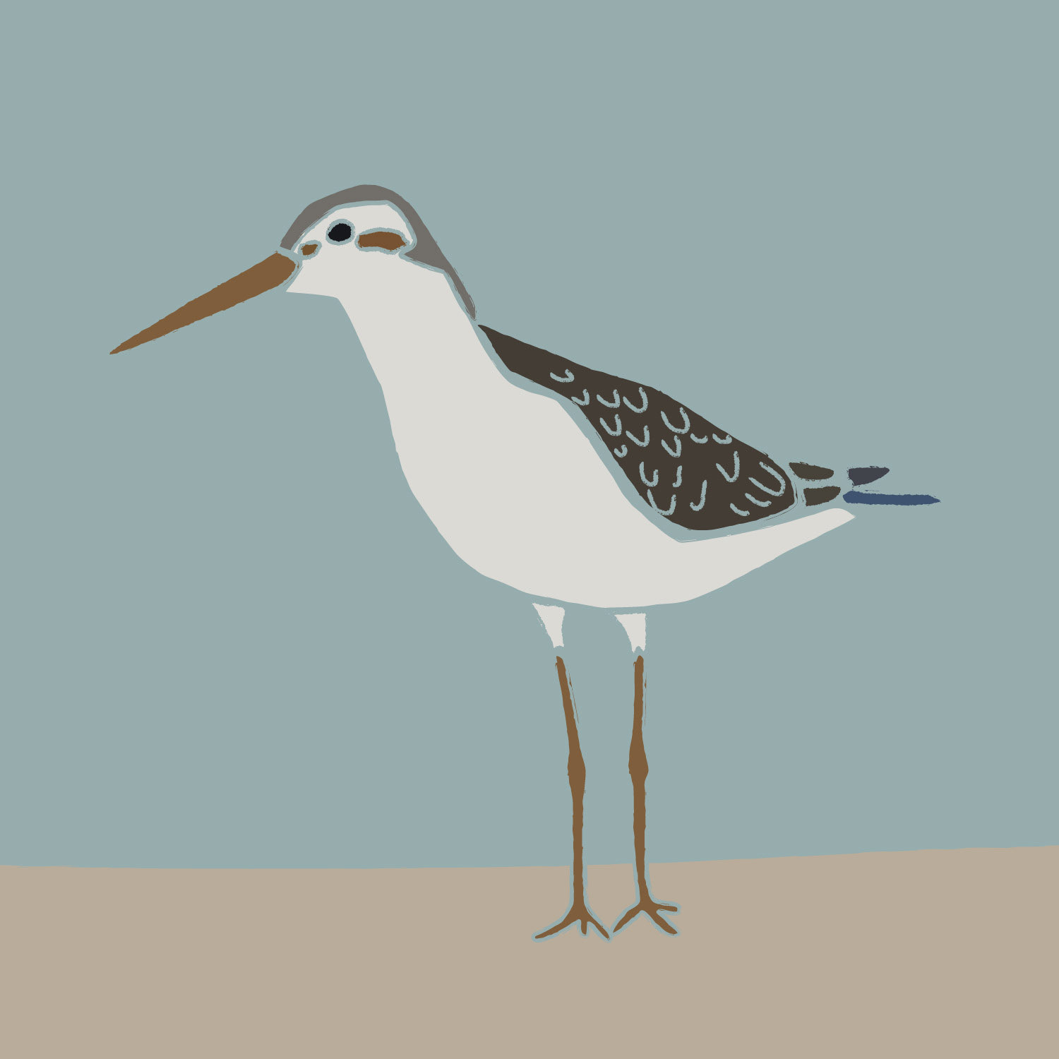 Sandpiper