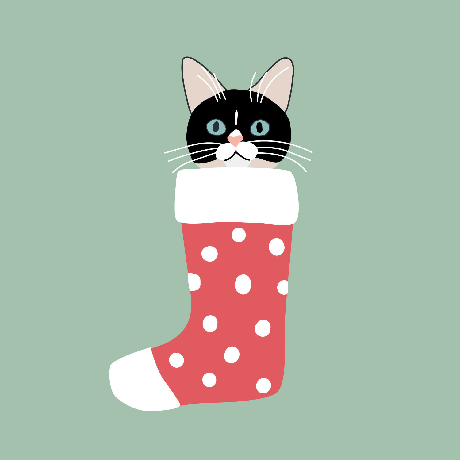 Cat Stocking 2