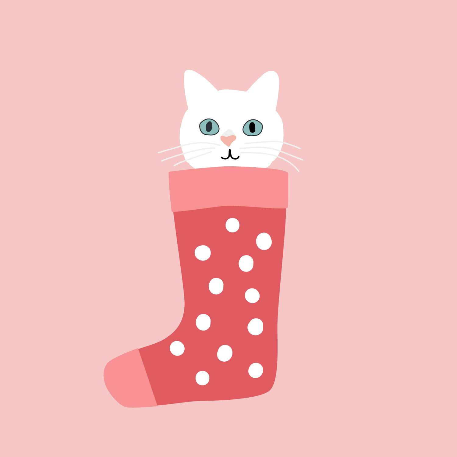 Cat Stocking 1