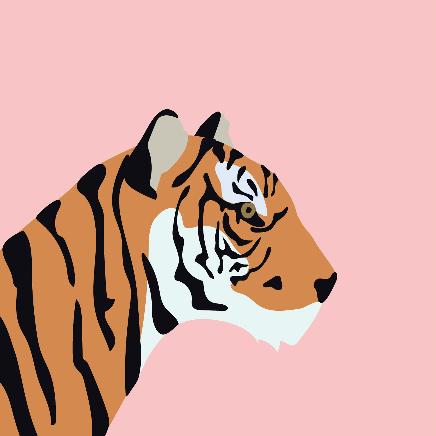 Tiger Profile