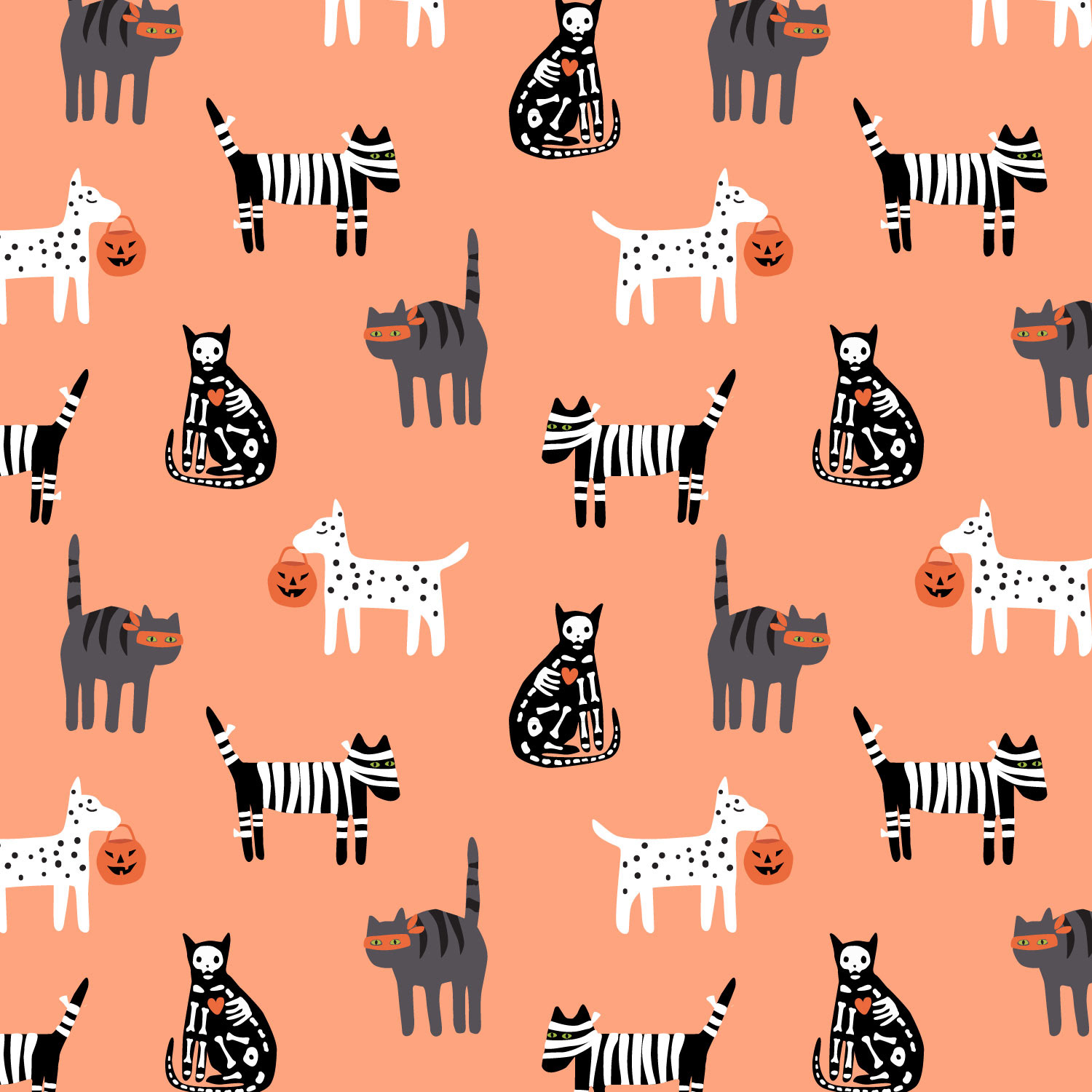trick or treat cats dogs