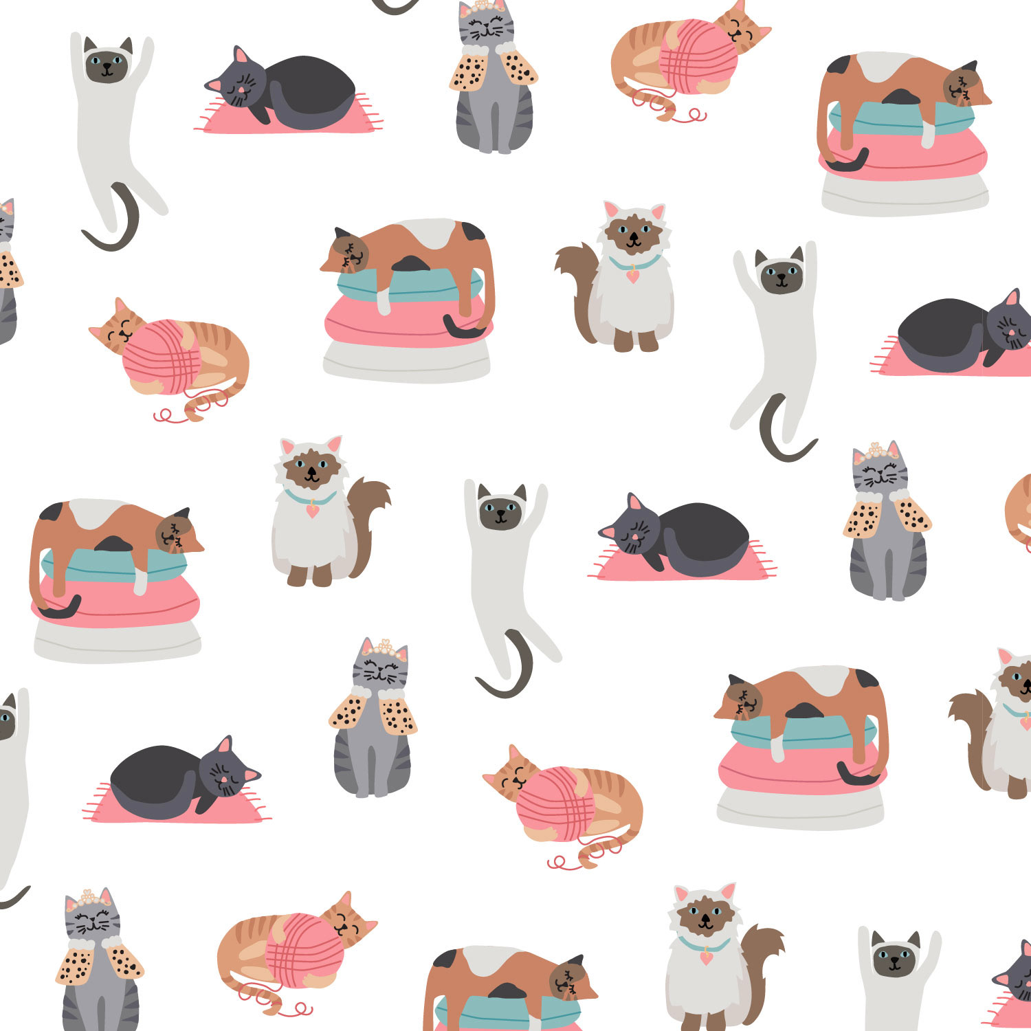 Silly Cats on White