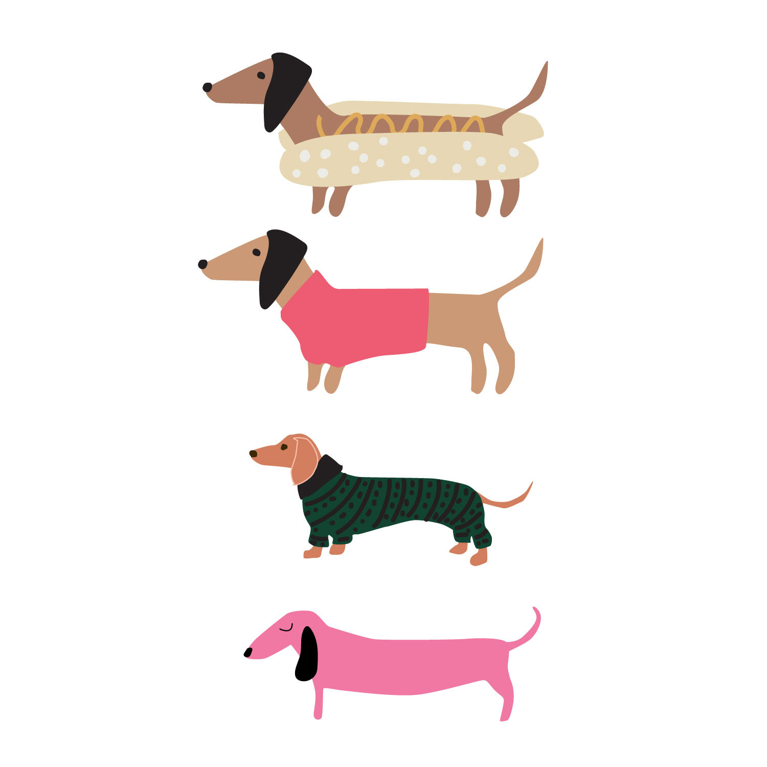 Dachshunds in Sweaters