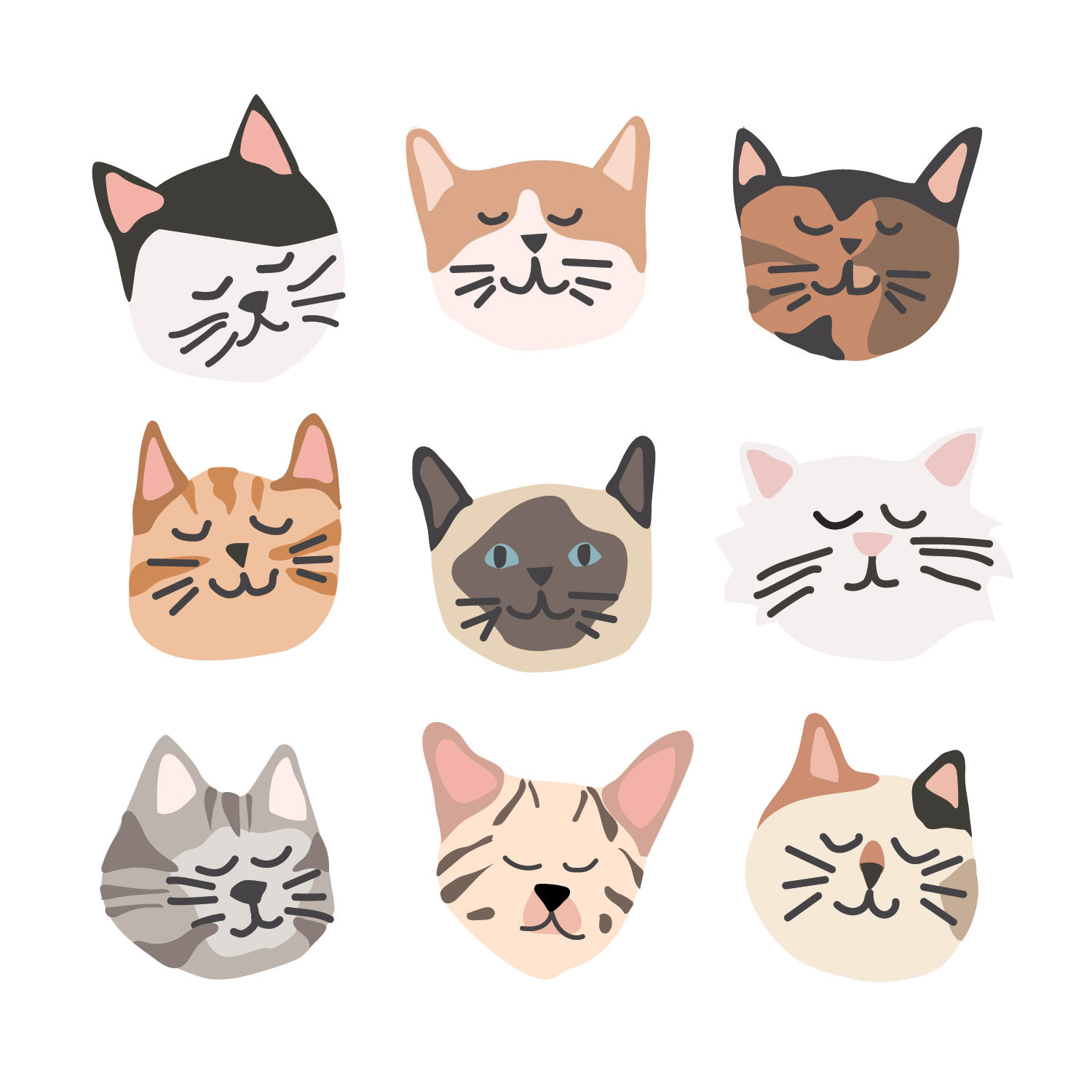 Detailed Cat Faces