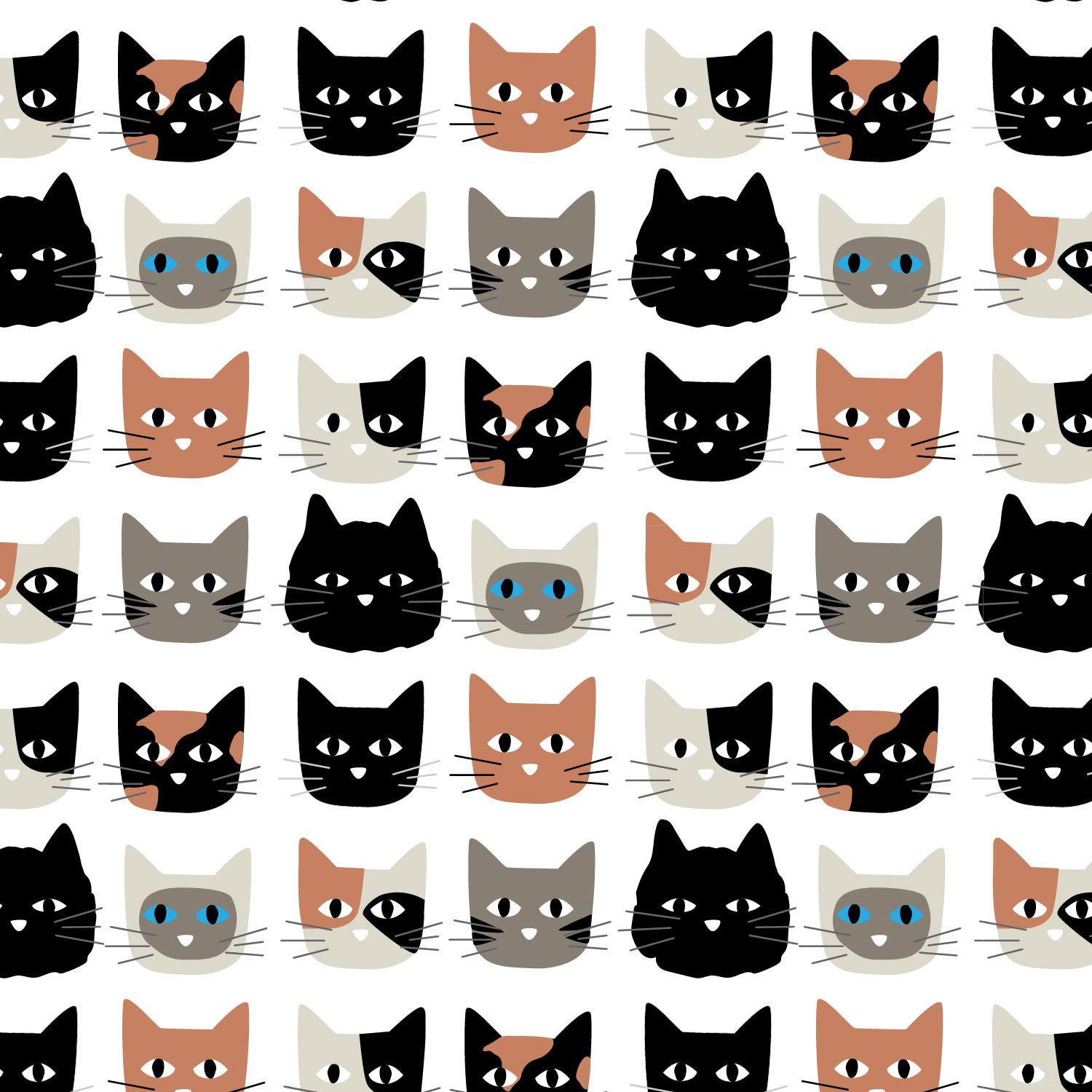 cat faces
