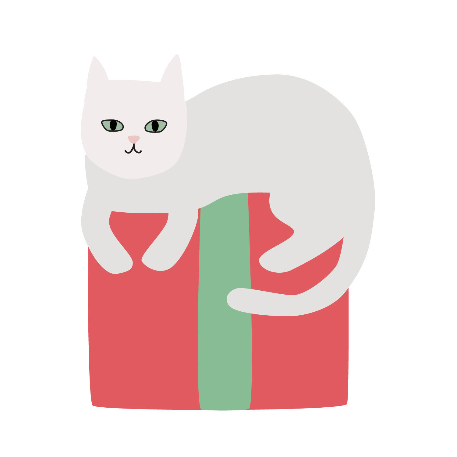 Cat on Present
