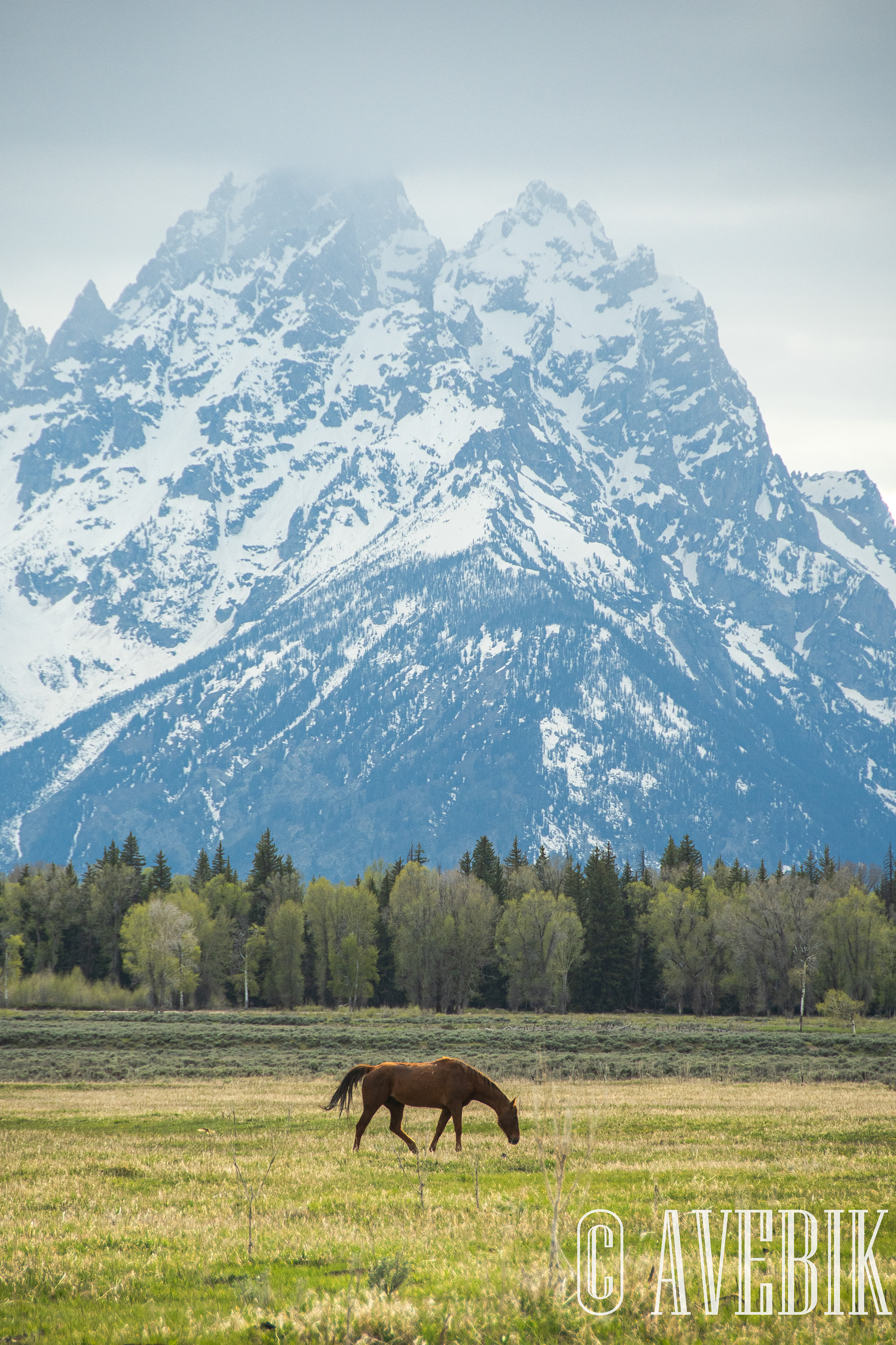Grand Teton