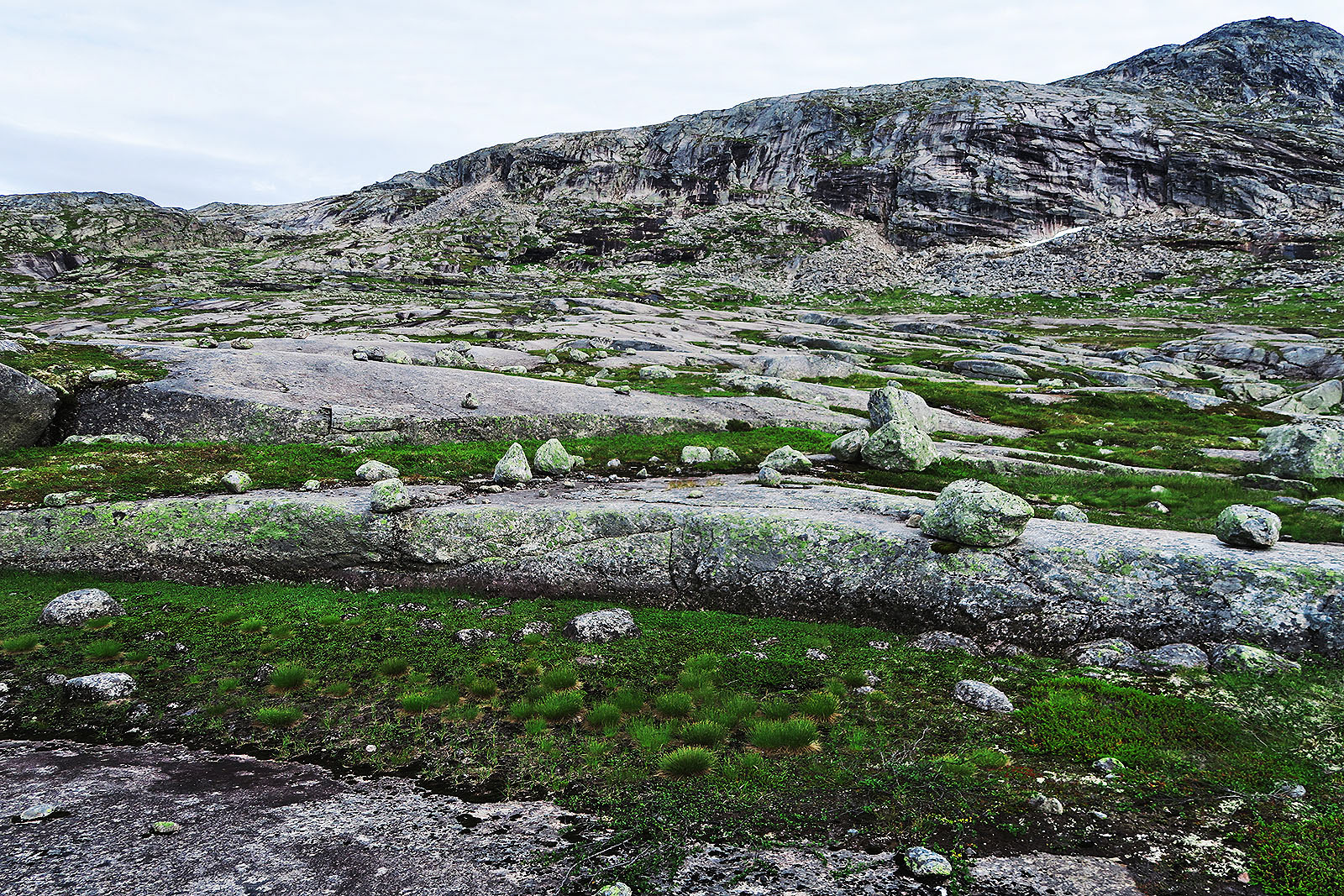 Kuka näitä kiviä tänne ripottelee?