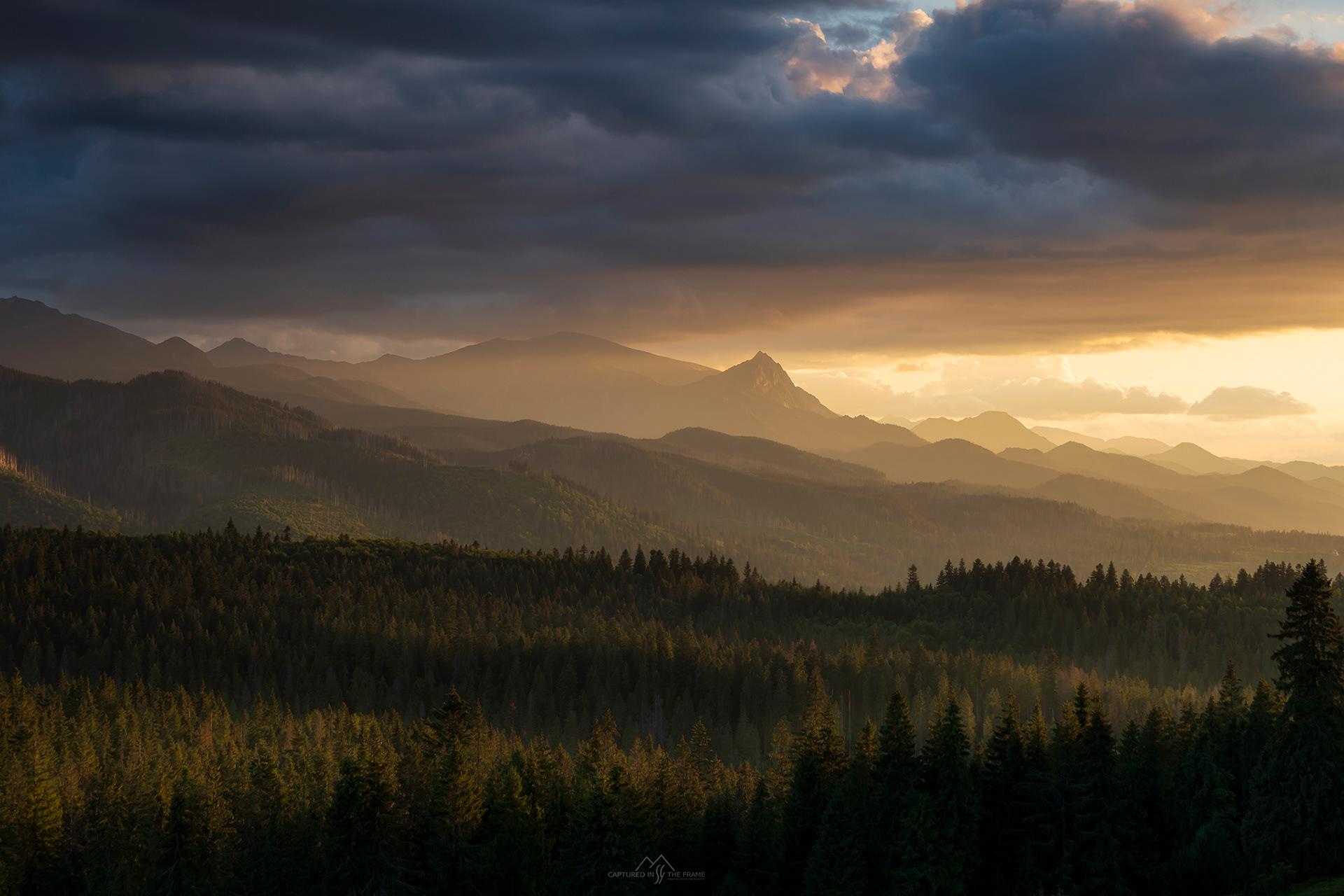 Panorama na Tatry z Głodówki