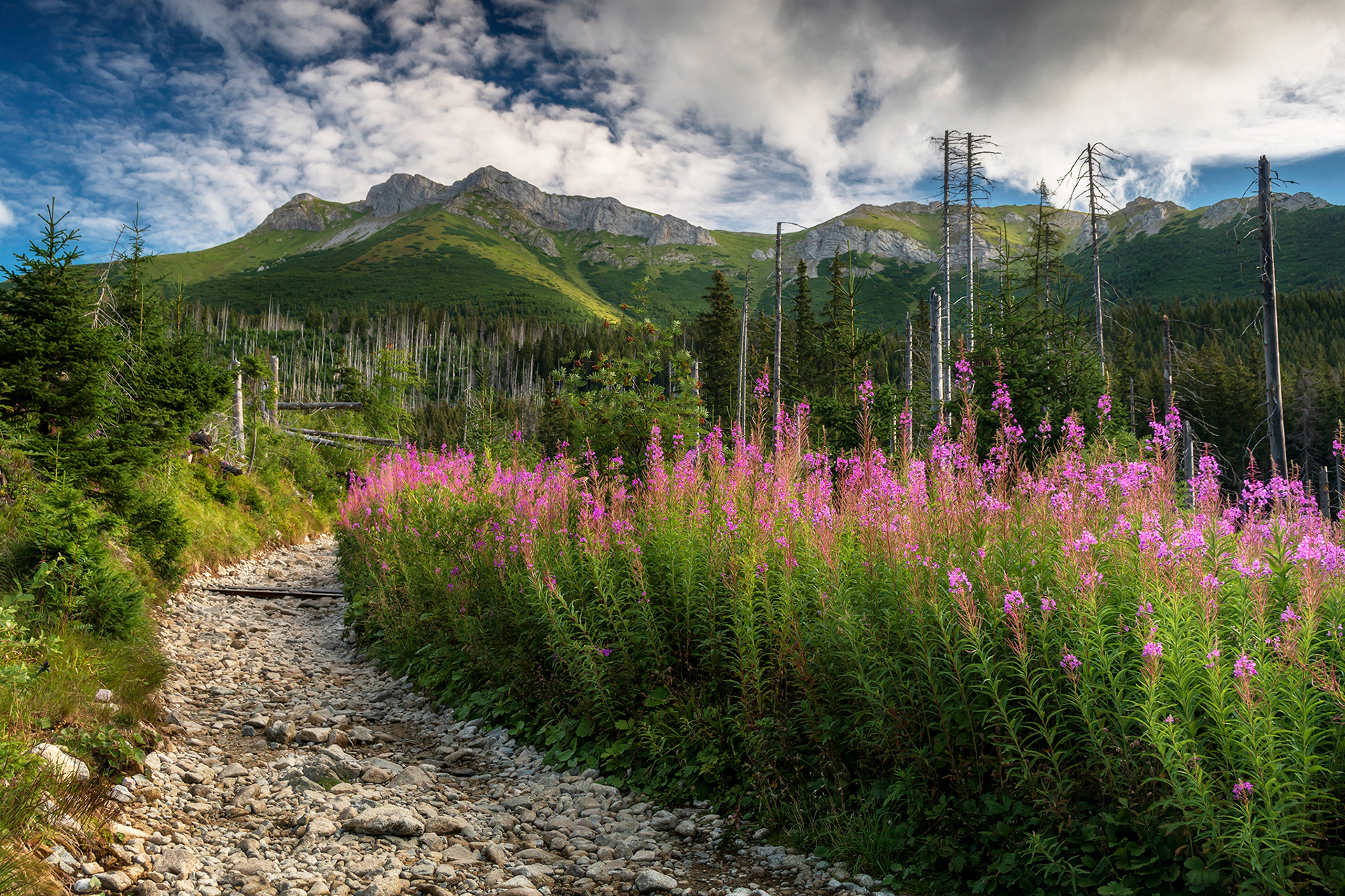 Tatry Słowackie