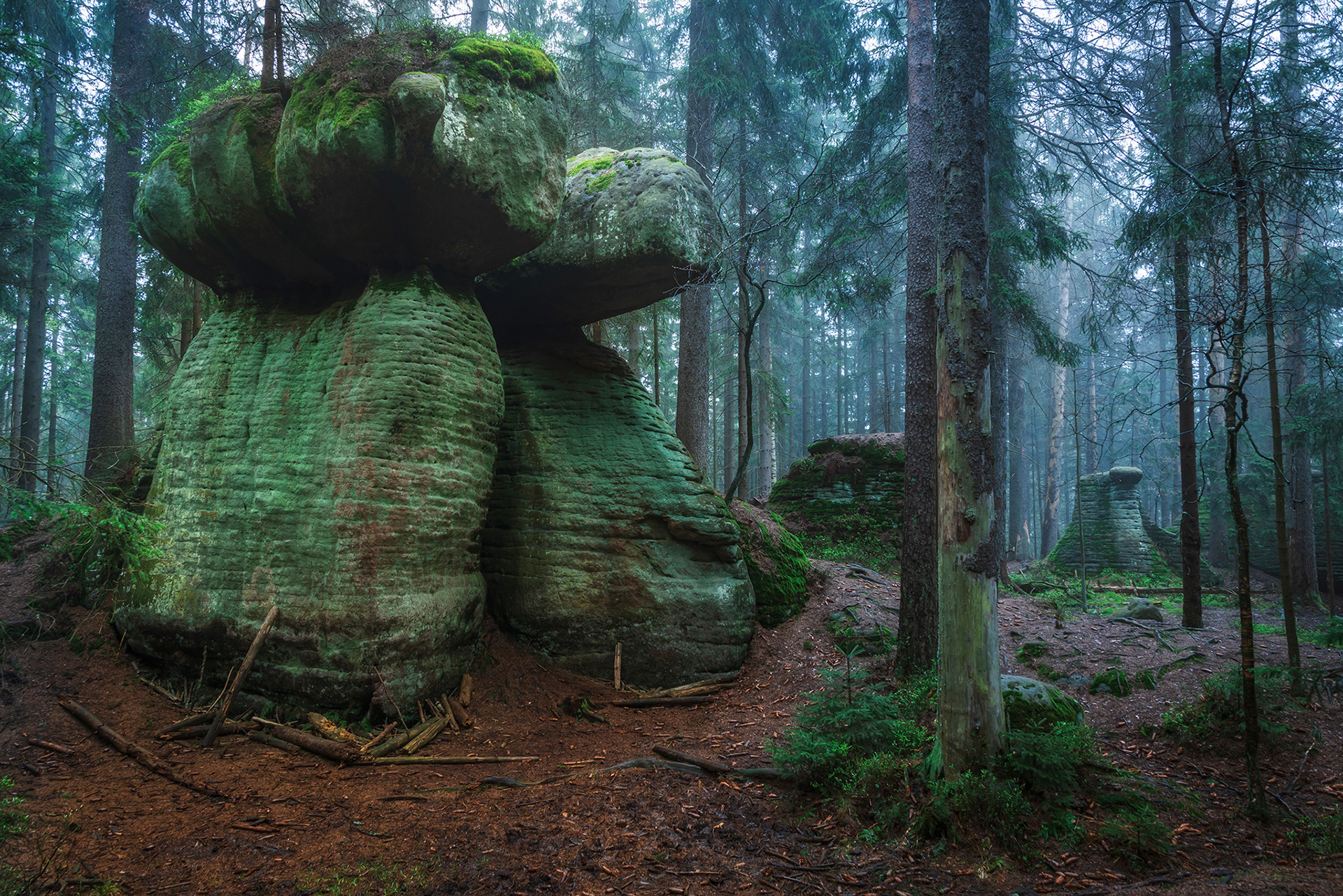 Skalne Grzyby, Góry Stołowe