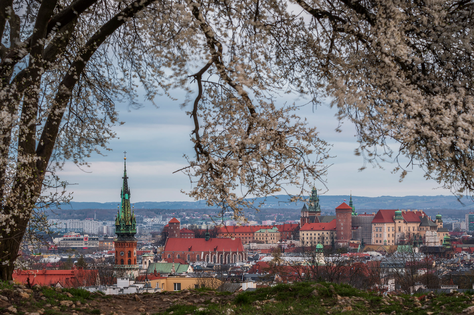 Wawel widziany z kopca Krakusa