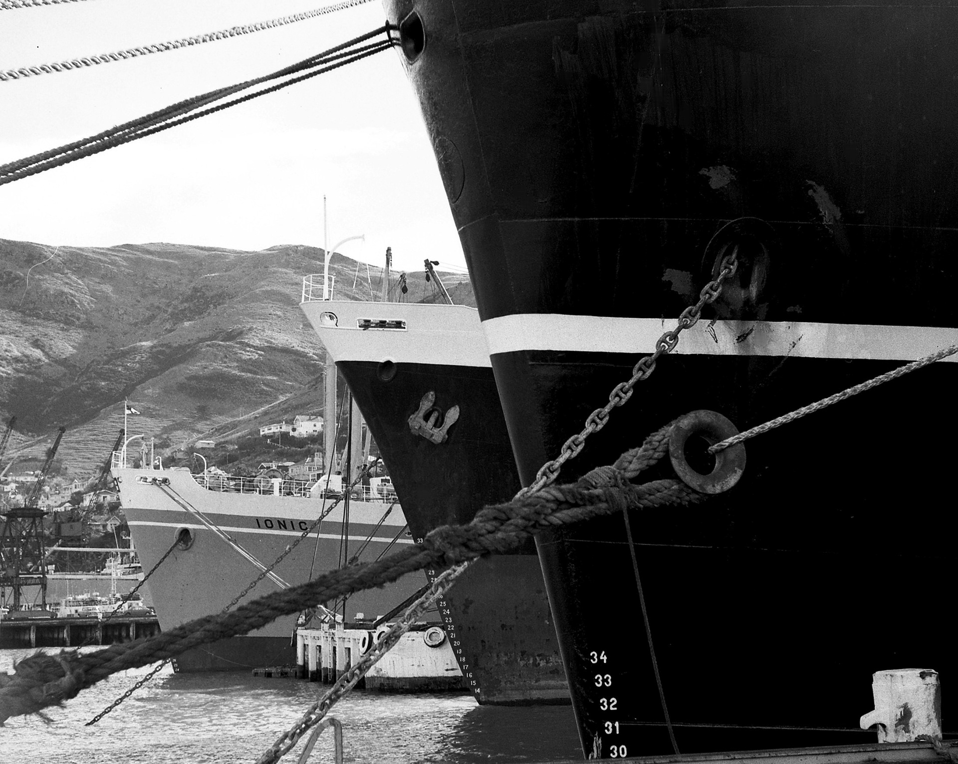 M.V. IONIC (Photograph courtesy Chris Howell)