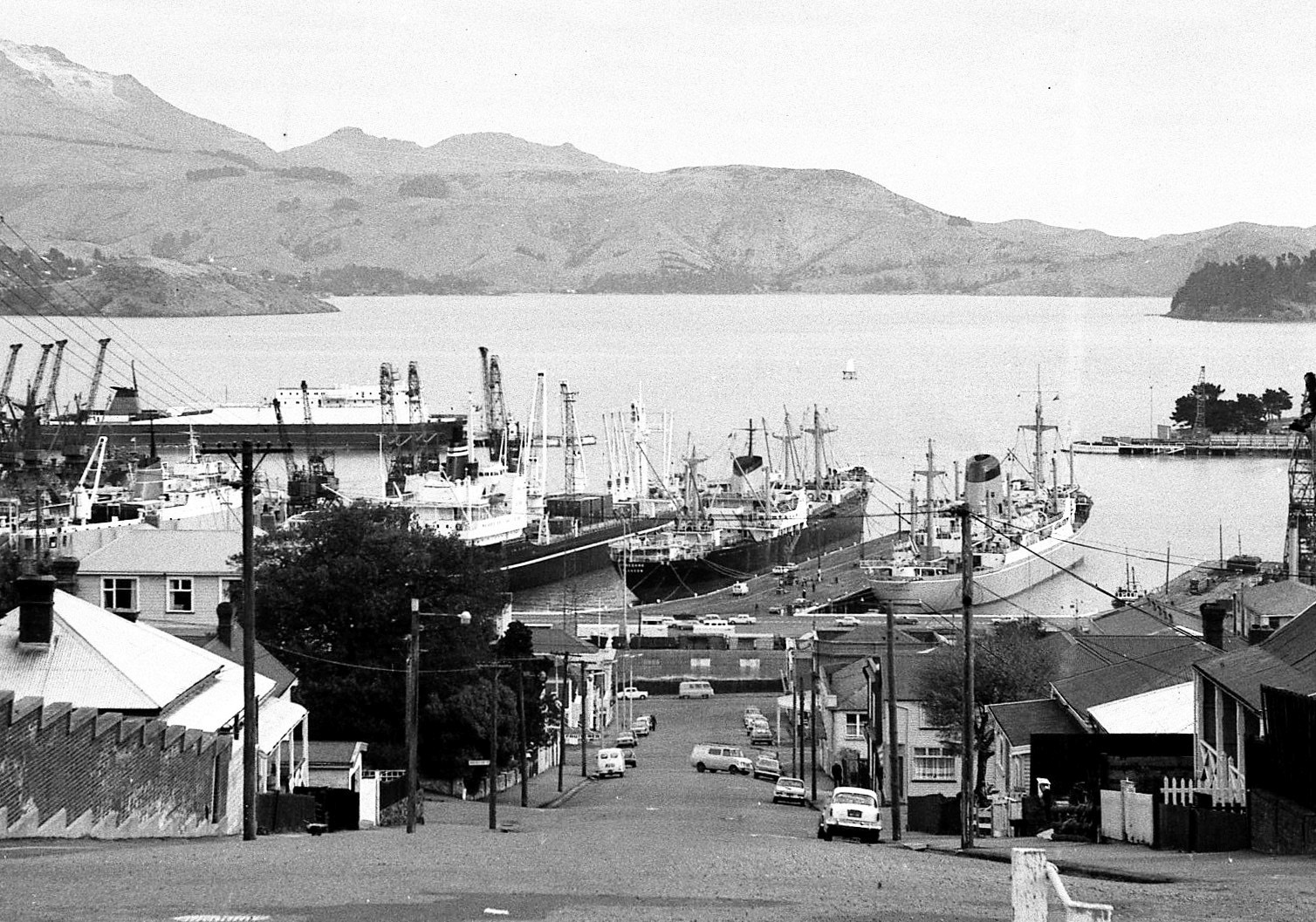 M.V. IONIC (Photograph courtesy Chris Howell)