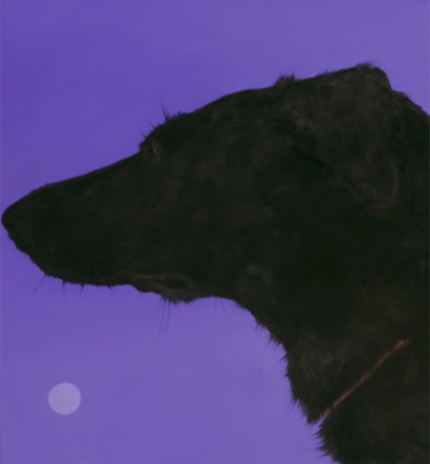 „Goodnight moon” 2021, oil on canvas, 120x110 cm