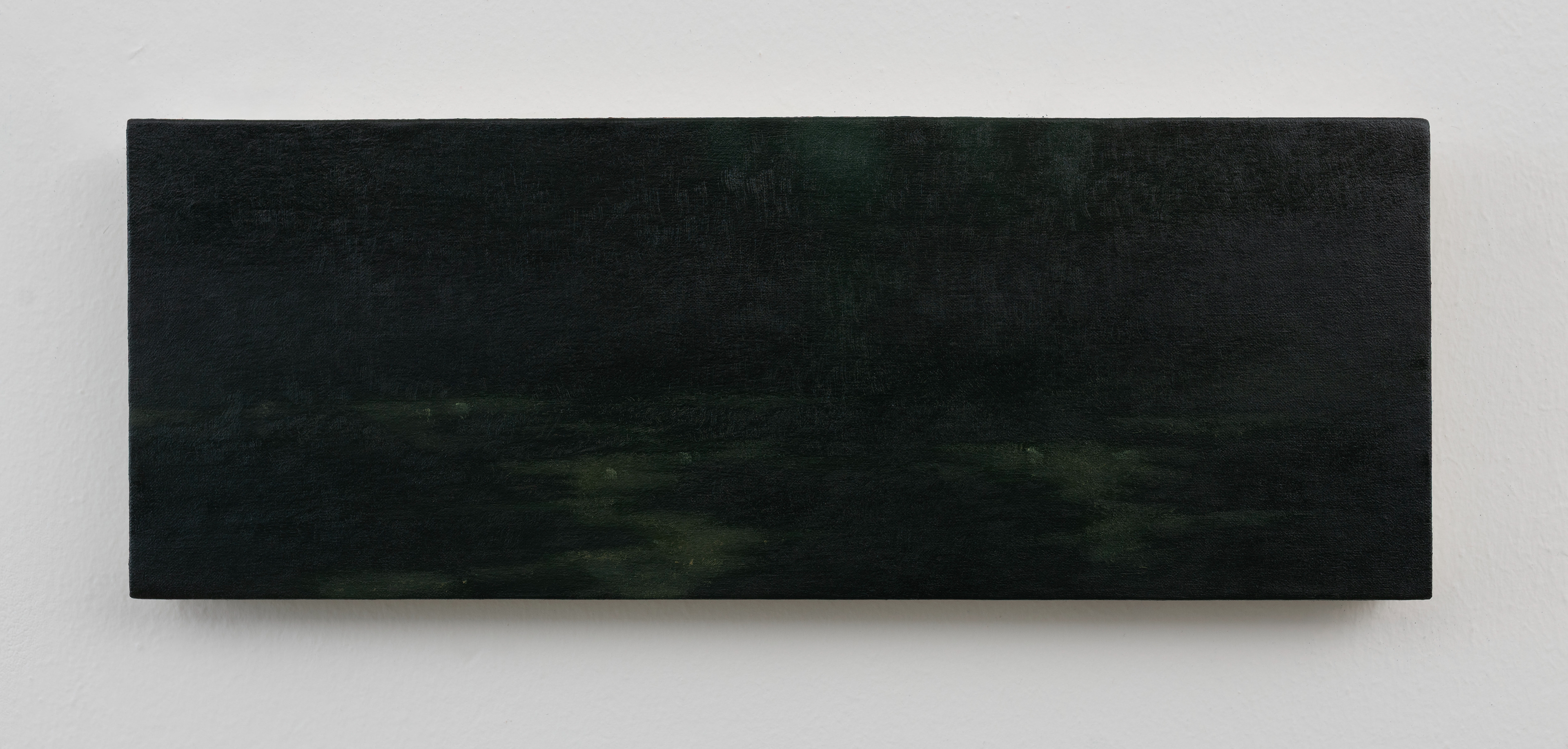 Jörg Kratz,  stars on the pond, 2025, oil on canvas mounted on wood,  18 x 35 cm 