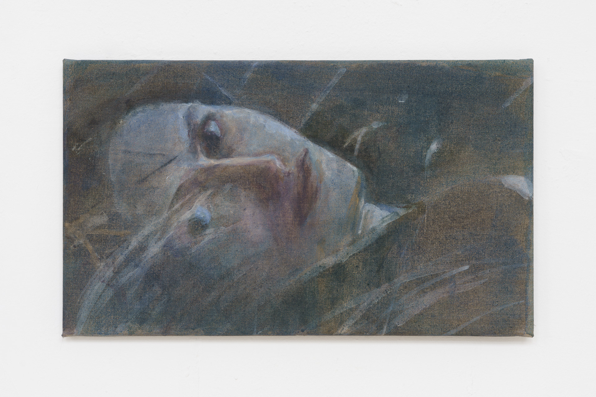 Cécile Lempert, Aria I, 2023
Distemper on canvas, 35 x 60 cm