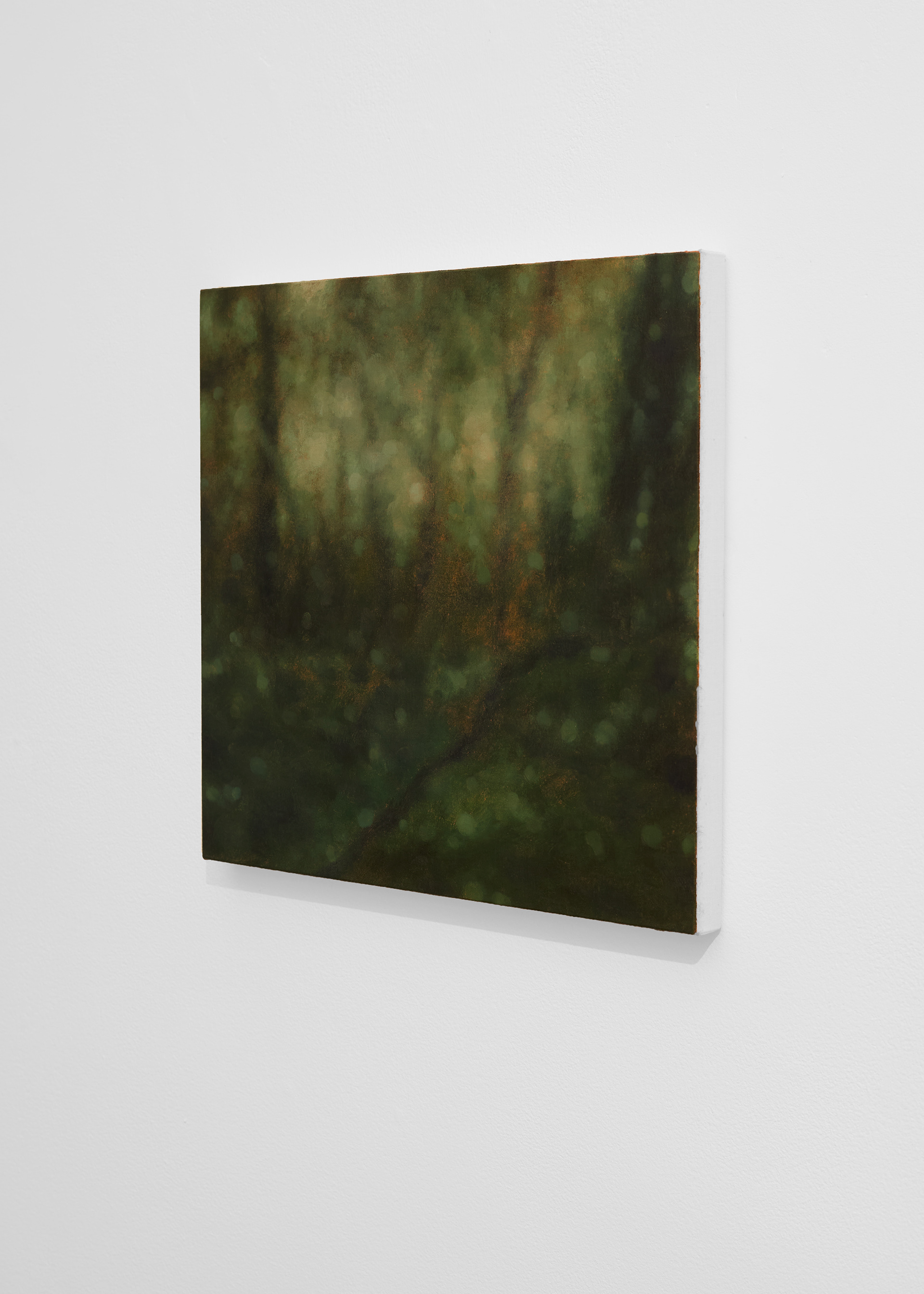 Jörg Kratz, terraces of fern in the dripping shade, 2024
© Albane Durand-Viel