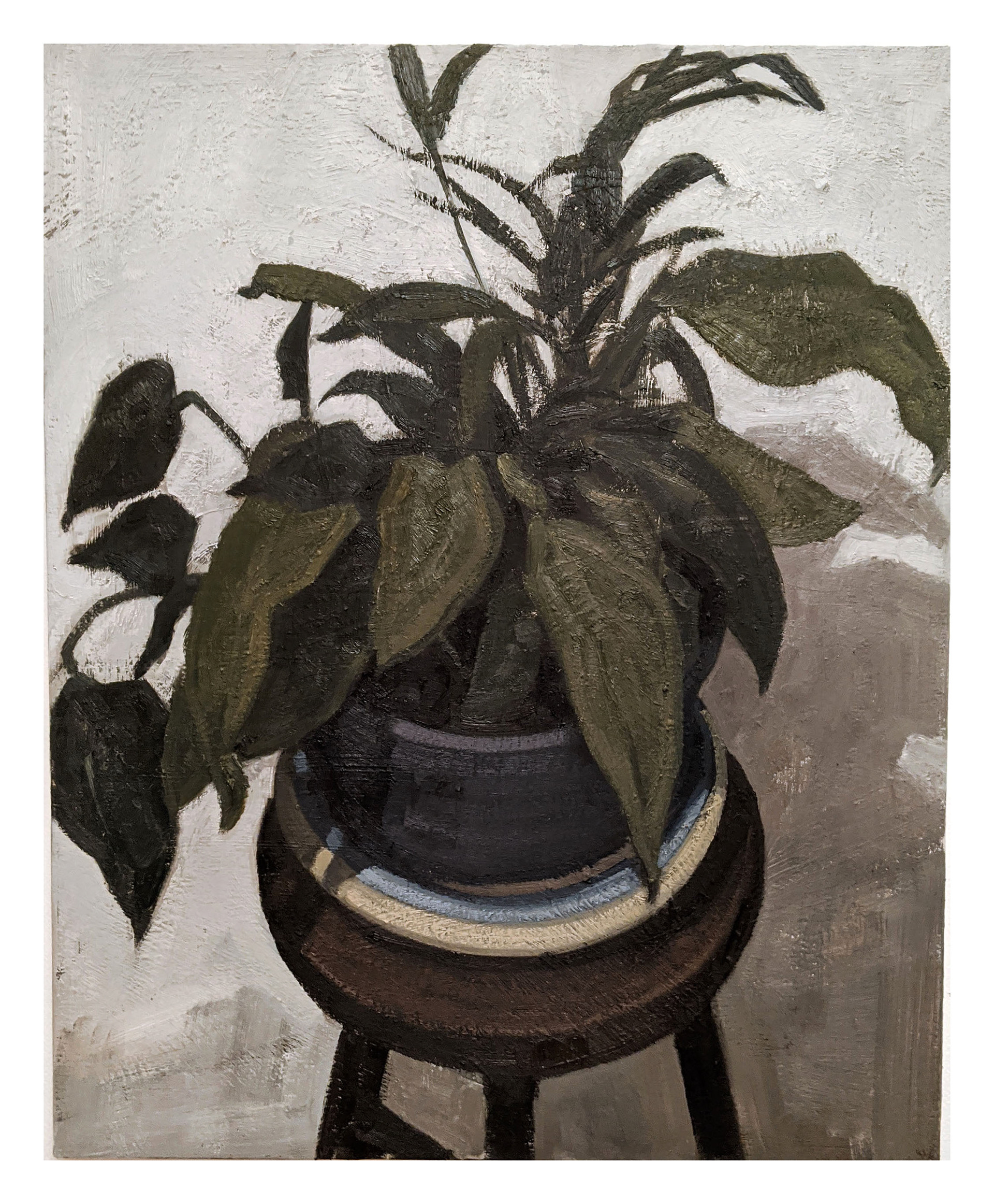 Plante verte I, 2020, huile sur toile, 100x81cm