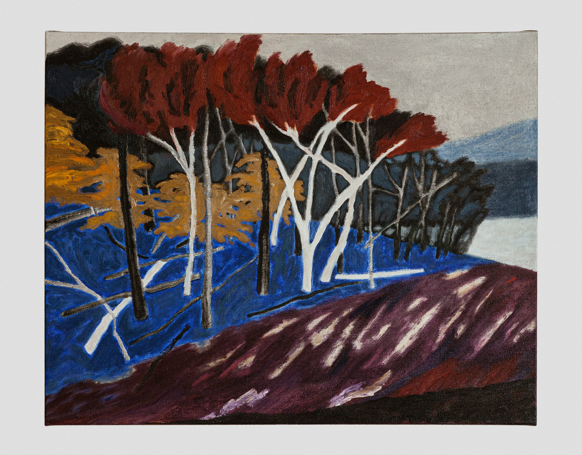 Blush in the Branches, 2021 Oil on linen, 24 x 30 in