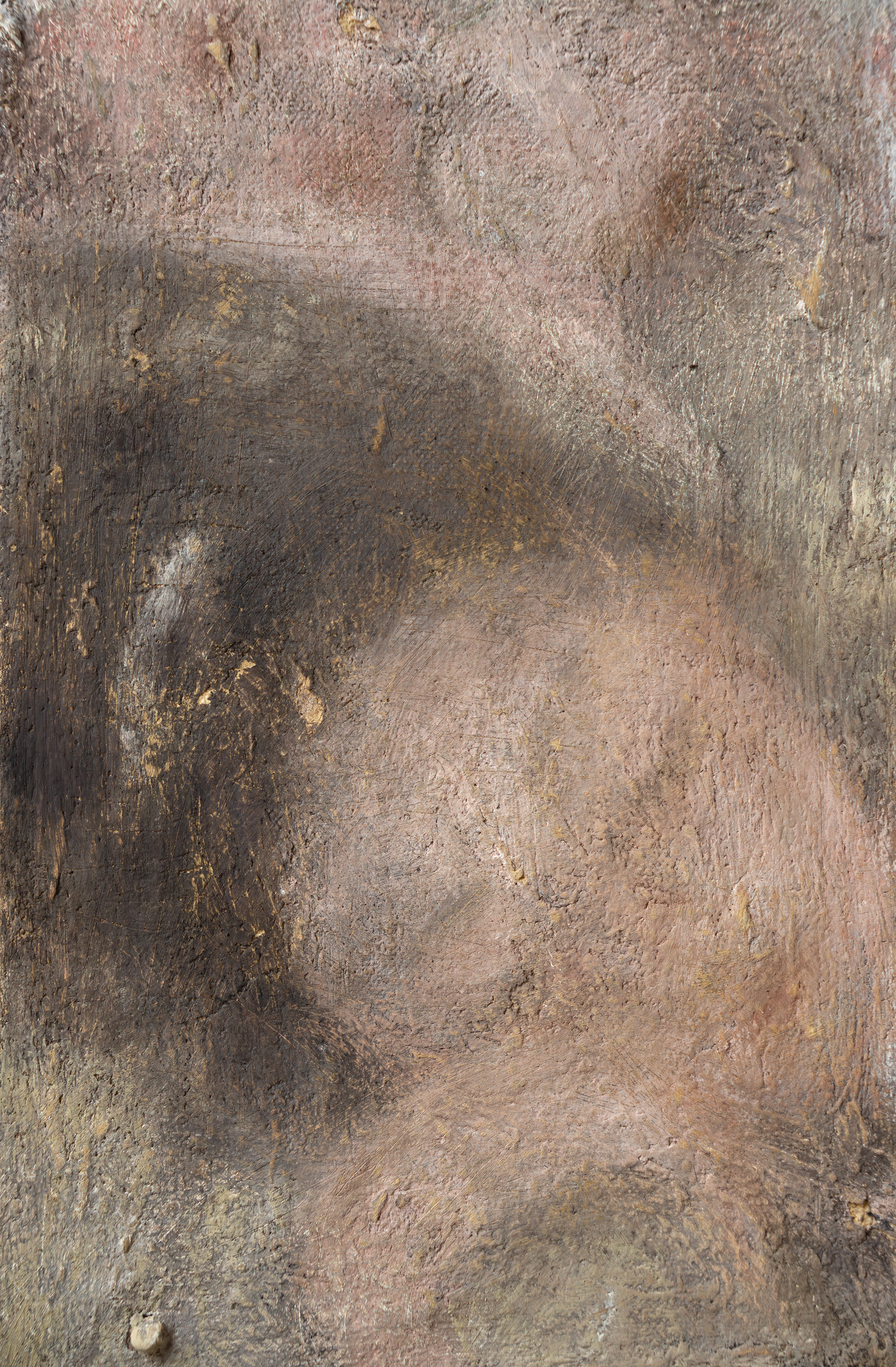 Merve Ceylan, der letzte schnee (detail), 2026  huile, pigment, cire d’abeille et argile moulue sur toile,  30 x 16 cm 