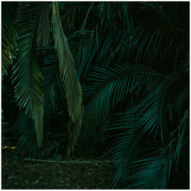 Casa, Inkjet print, several materials 2014/2015
