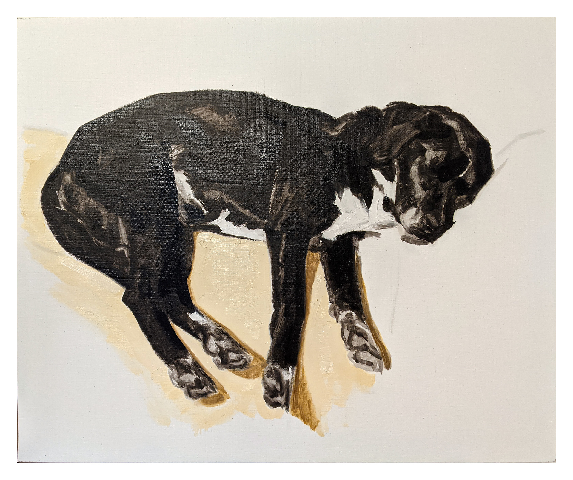 Maxime Biou, "Jaska endormie », 2021, huile sur toile, 60 x 73 cm