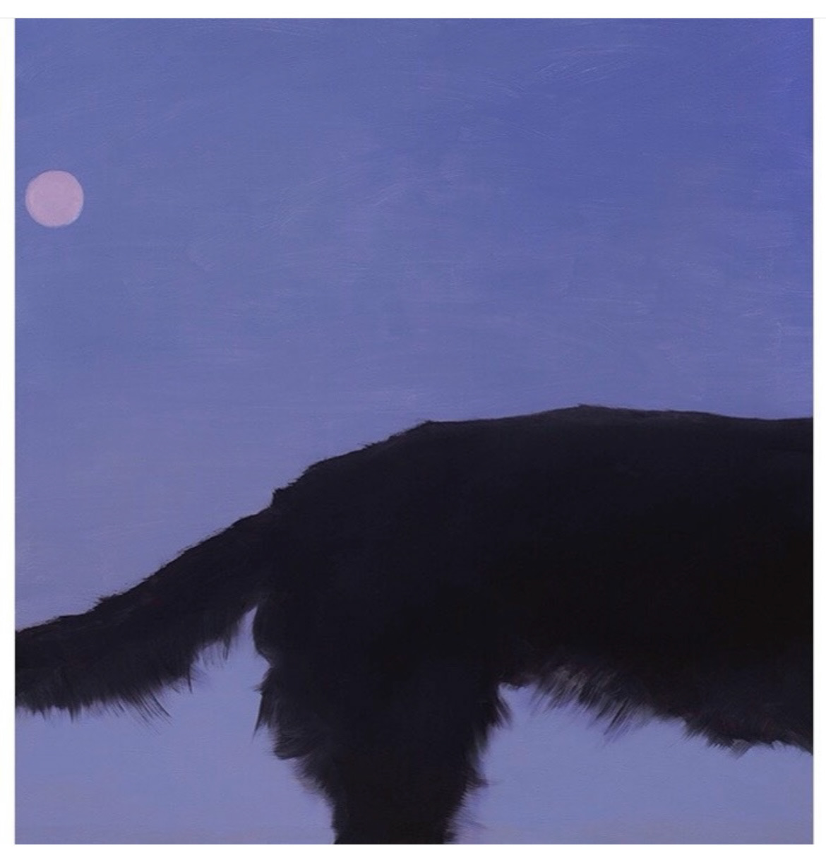 „Half a dog” , 2021, oil/canvas, 115x120 cm