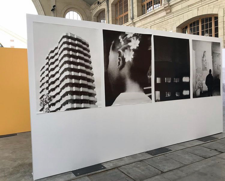 Eleonora Paciullo, « This is L.A », 2018-2020