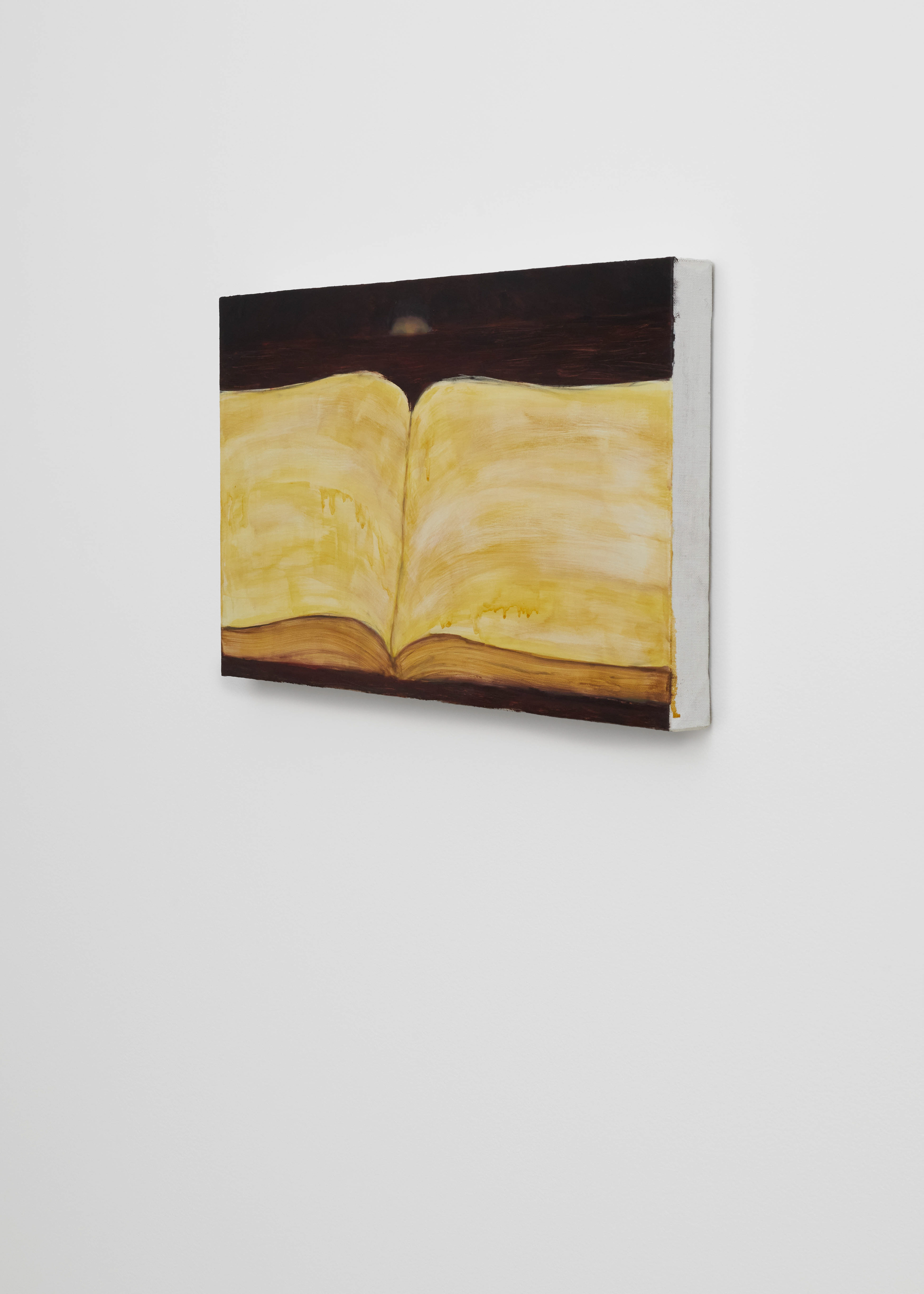 Zhi Ding, Secret Manual V, 2024 © Albane Durand-Viel