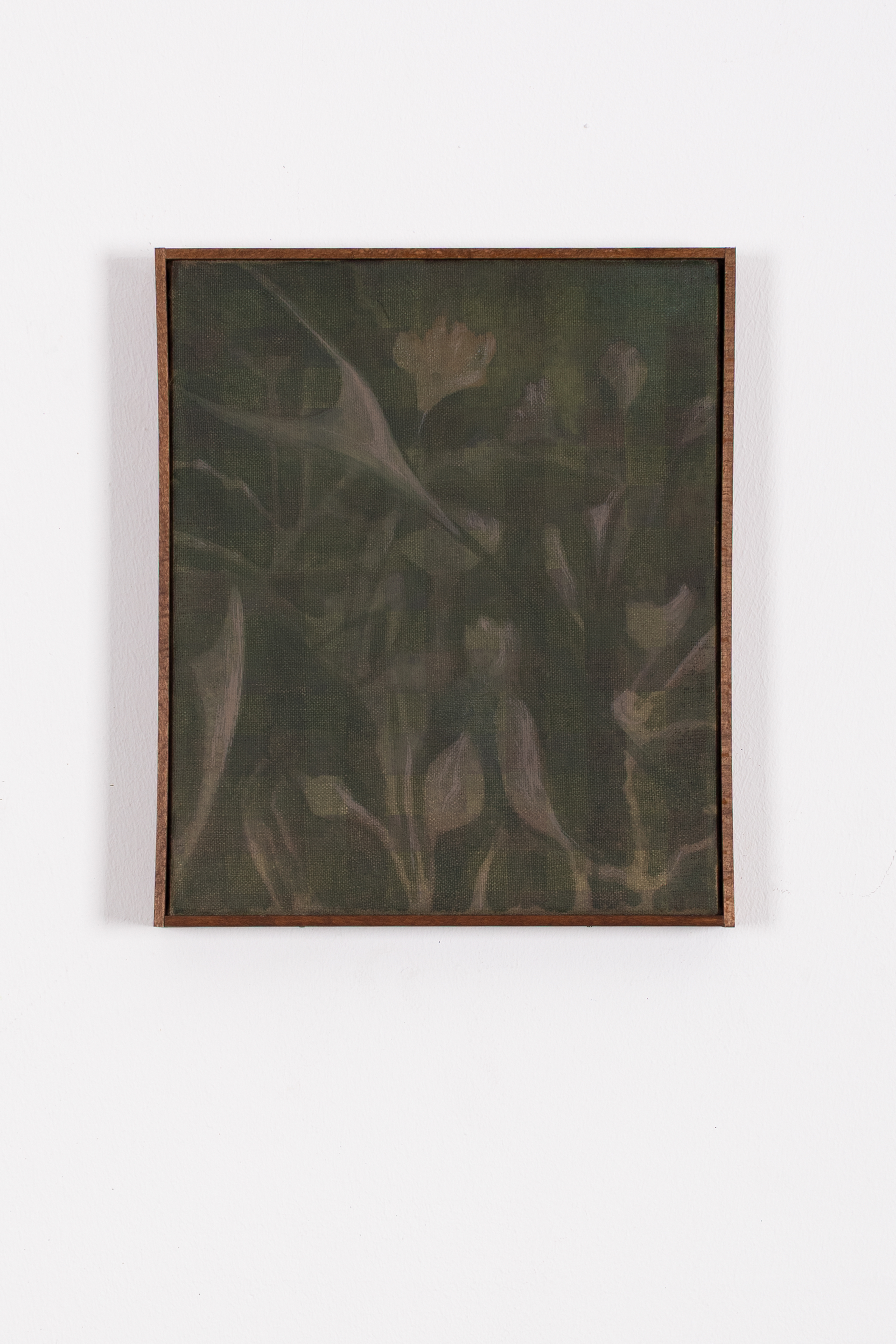 Ole Goldt, Belly flowers, 2026 
