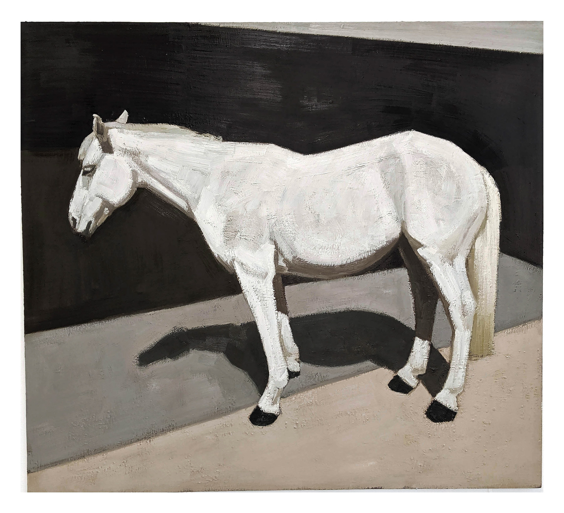 Cheval blanc, 2019, huile sur toile 146x162cm