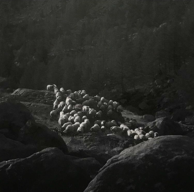 Eleonora Strano, « Ex Materia », 2018-2019