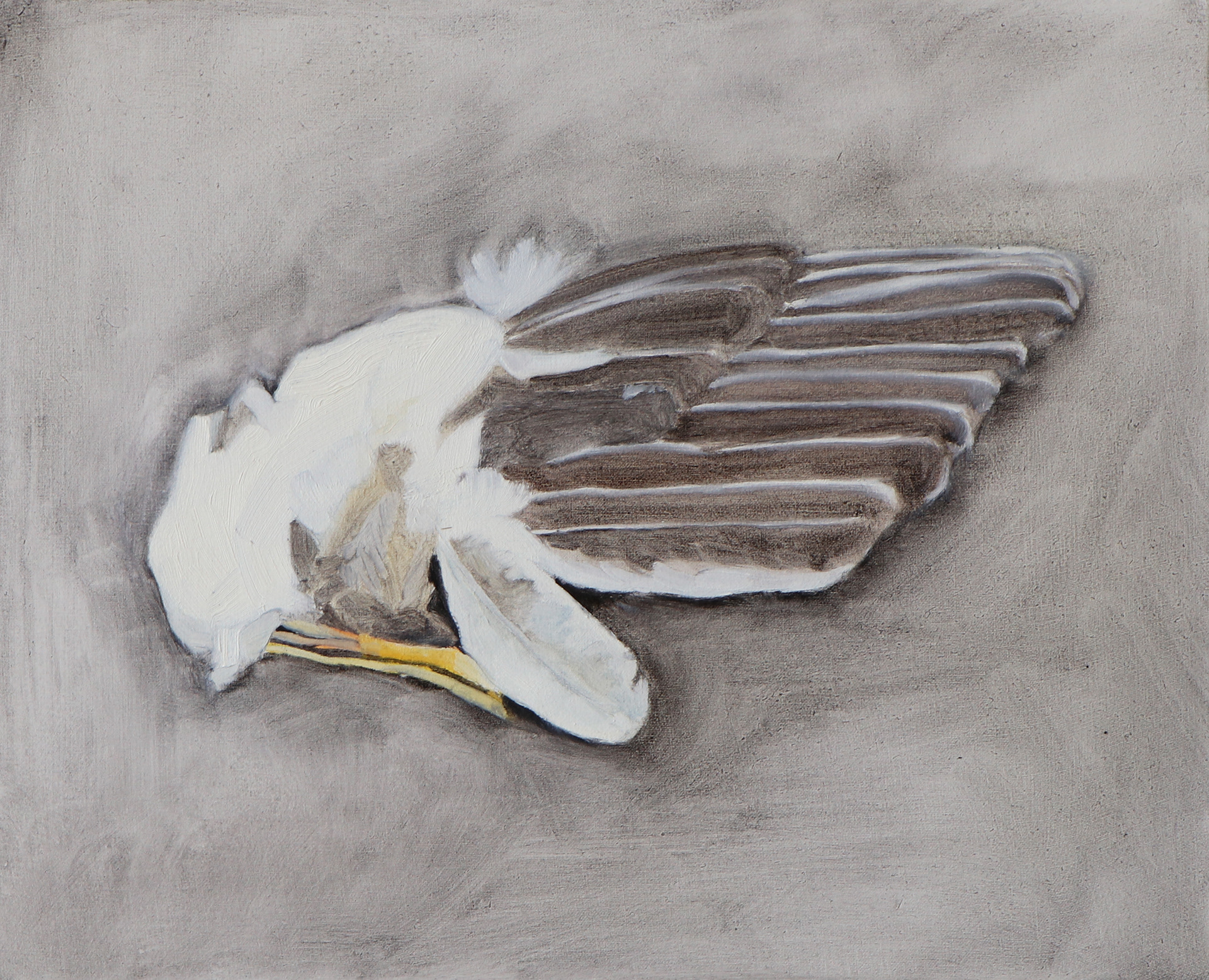 Aile d’oiseau, 2020, huile sur toile 22 x 27 cm