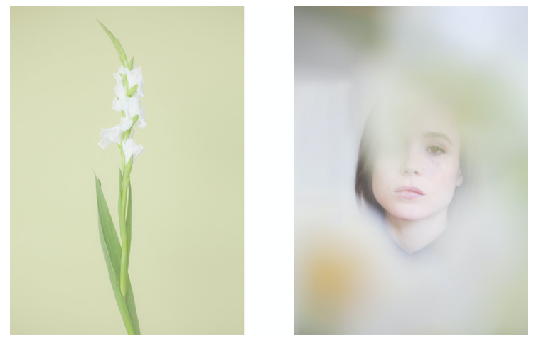 Série Fleurs de Paris