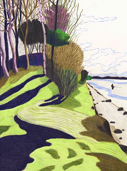 ANGLER BY THE COAST, drawing Color Pencil. 42X30 cm, April 2020. Ved Gals Klint, Fyn