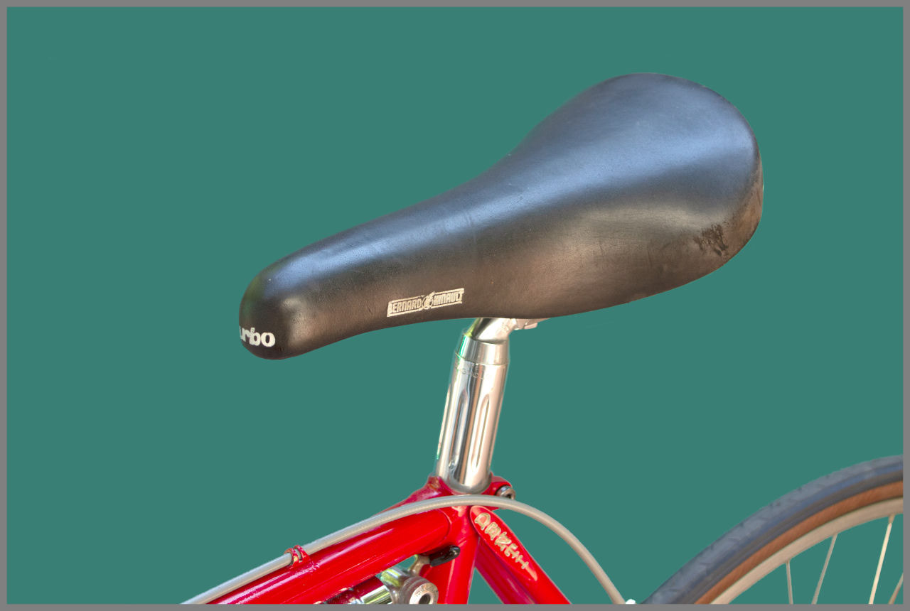 Saddle