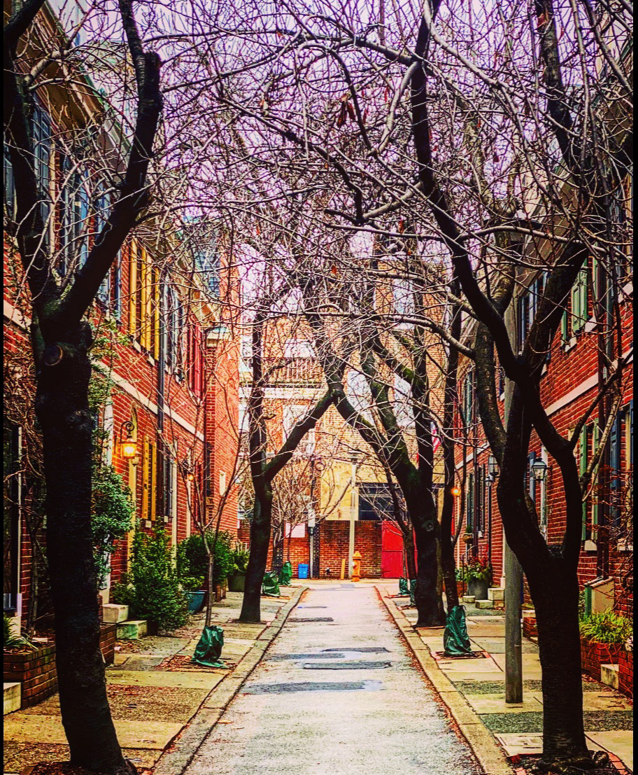 The Gayborhood Pine street