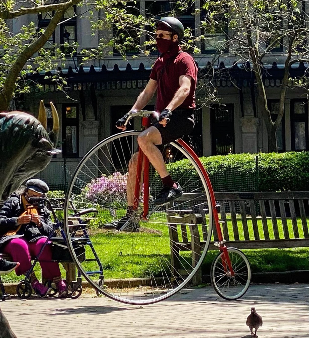 Penny-Farthing and a pigeon. Ritten House Square.