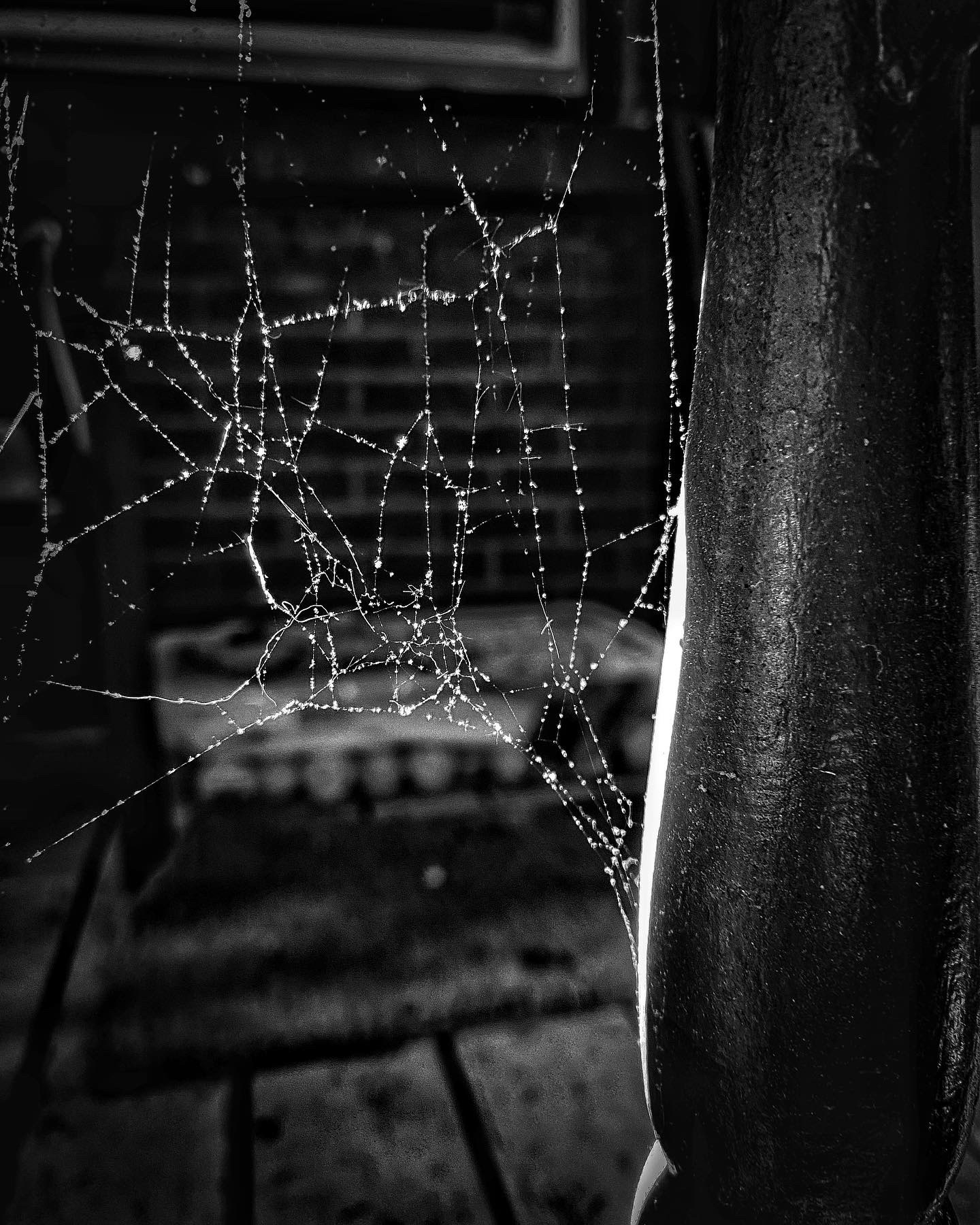 The web