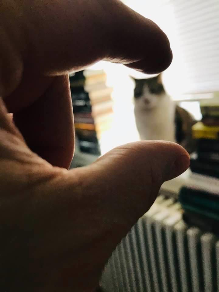 "I'm squeezing your head".
