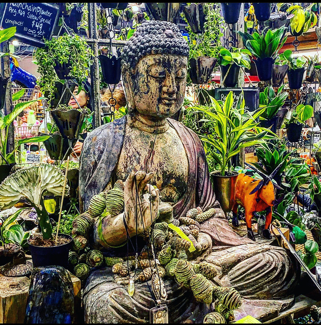 Flower show Buddha