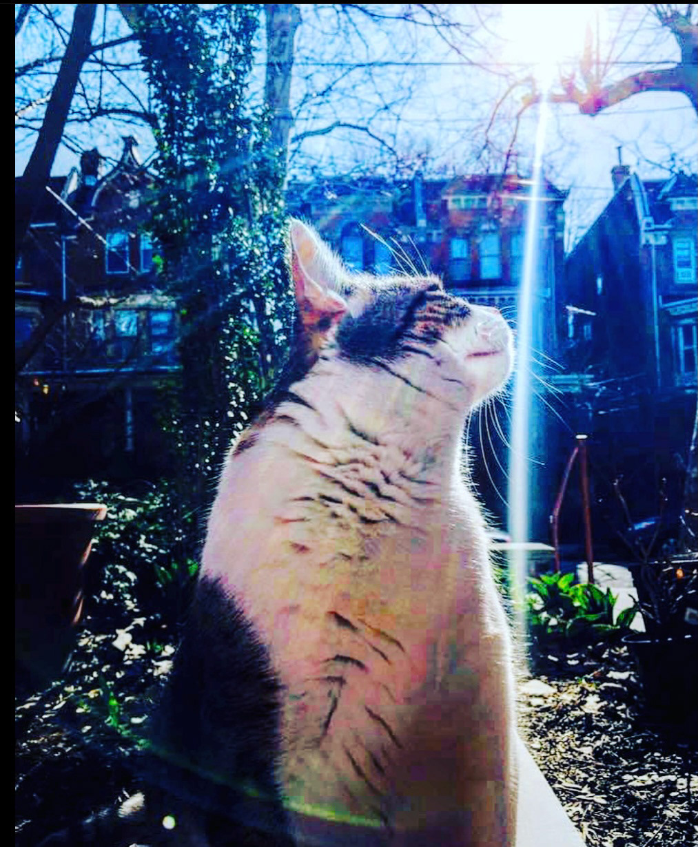 Beam me up Scotty
